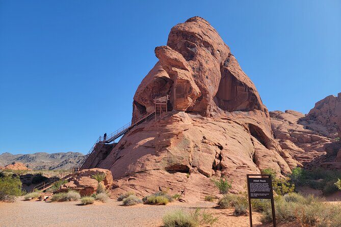 Combo Tour: Valley of Fire & Hoover Dam Full-Day Tour - Visitor center time and the Petrified Logs Loop you shouldn’t skip