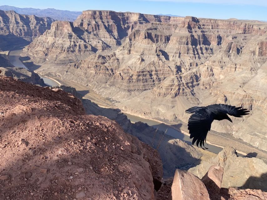 From Las Vegas: Grand Canyon & Hoover Dam Private Photo Tour - Price check: what $589 buys, and what to confirm before you go