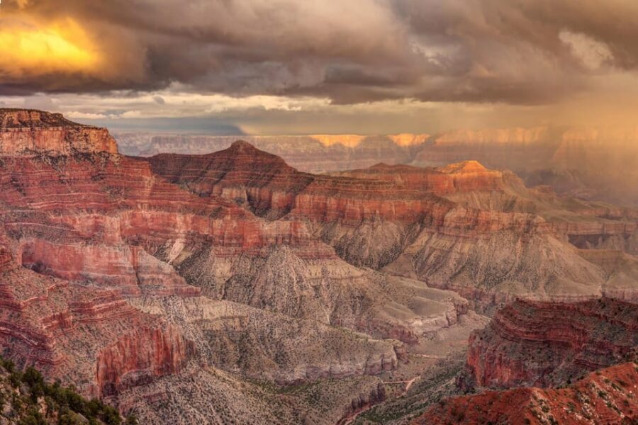 Grand Canyon Hoover Dam and Joshua Tree VIP Small Group Tour - Joshua Tree Forest: short stop, big vibe