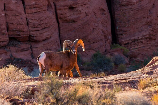 Grand Canyon West, Hoover Dam and Seven Magic Mountains & LV Sign - Lunch at Eagle Point: included food, included views