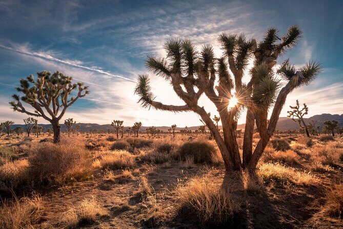 Grand Canyon West, Hoover Dam and Seven Magic Mountains & LV Sign - VIP small-group comfort: why $183 can feel fair