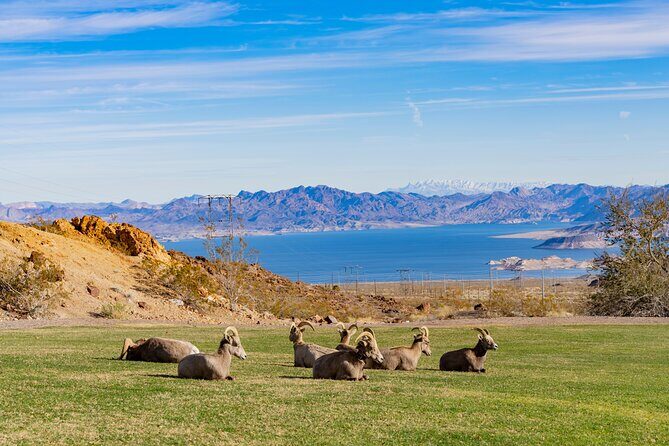 Hoover Dam and Lake Mead Self-Guided Audio Tour - The pacing trick: how to fit this into one satisfying day