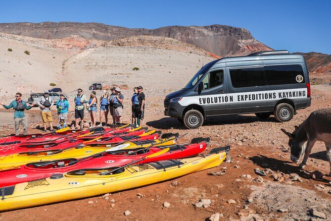 Hoover Dam Discovery Kayak Tour with Lake Mead Views - Wildlife and Native Plants: What to Look For Along the Way