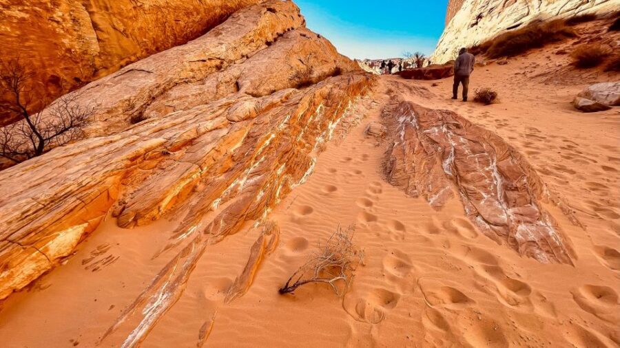 Las Vegas: Hoover Dam, Valley of Fire, Boulder City Day Tour - Food, water, restrooms, and what to pack