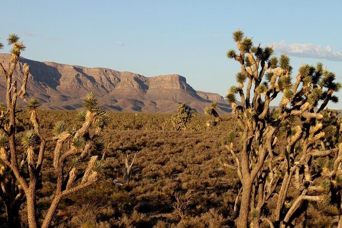 Small Group Grand Canyon, Hoover Dam and 7 Magic Mountains Tour - Price and Value: What You’re Paying For at $239.99